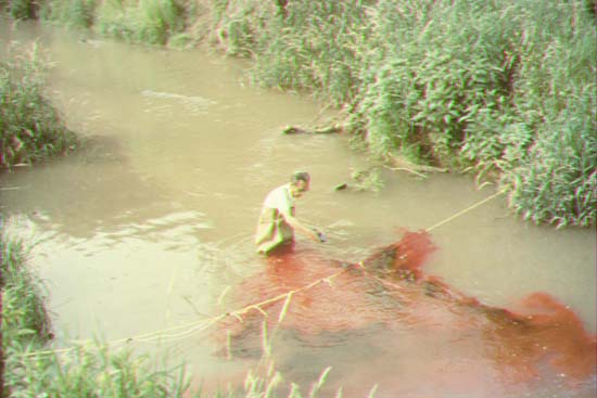 Dye release to study far-field mixing.