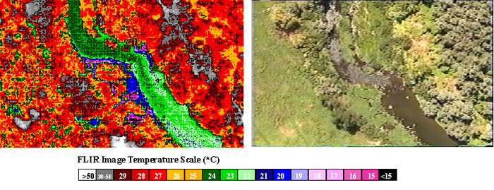 FLIR data for groundwater-surfacewater interaction mixing zone.