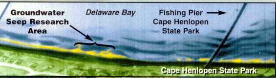 Groundwater seeps into Delaware Bay along Cape Henlopen.