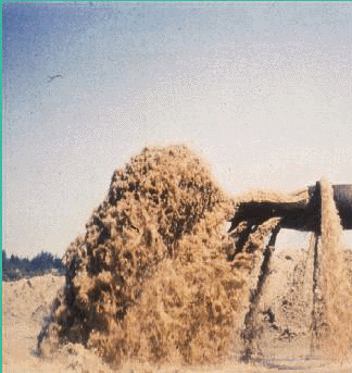 Dredge sources can produce large density currents with downstream particle settling