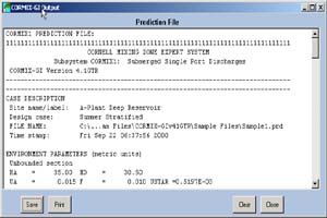 CORMIX Prediction File